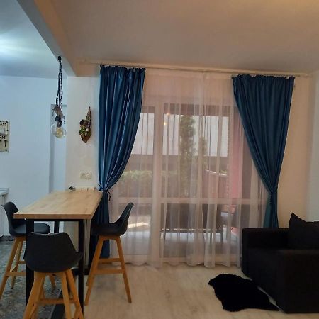 Belleview North Studio Apartment Sinaia Exterior foto